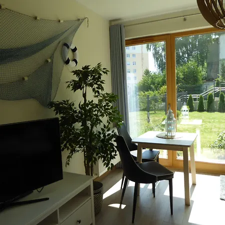 Maestro * グディニャ